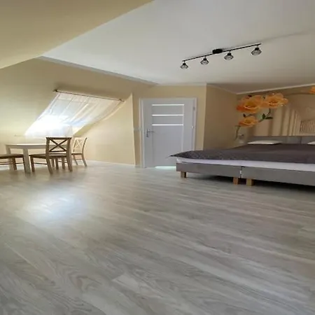 In Mi Dzywodzie Near Baltic Beaches *