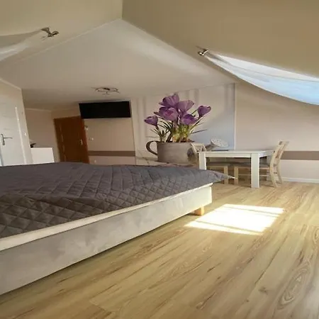 In Mi Dzywodzie Near Baltic Beaches *