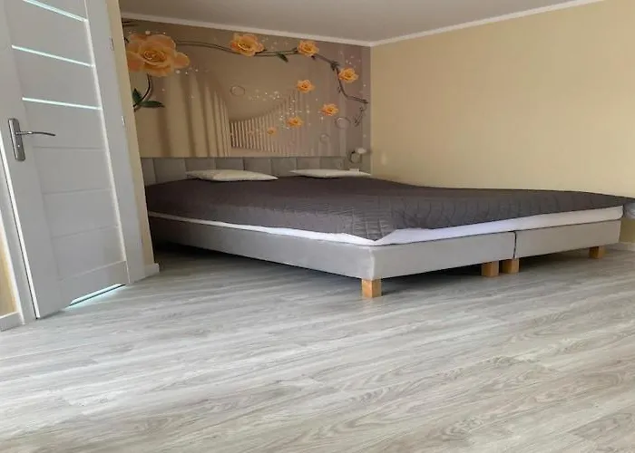 In Mi Dzywodzie Near Baltic Beaches Appartamento