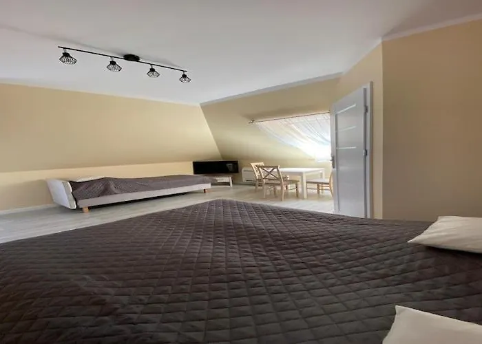 In Mi Dzywodzie Near Baltic Beaches Appartamento *