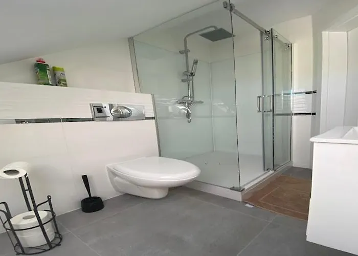 In Mi Dzywodzie Near Baltic Beaches *