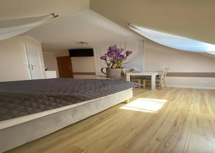 In Mi Dzywodzie Near Baltic Beaches *