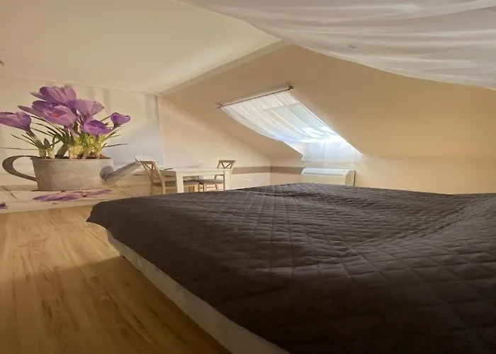 In Mi Dzywodzie Near Baltic Beaches